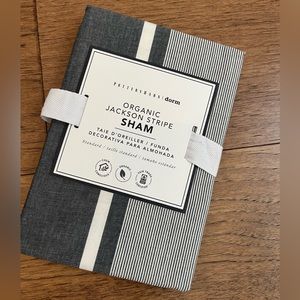 Pottery Barn Teen pillow sham